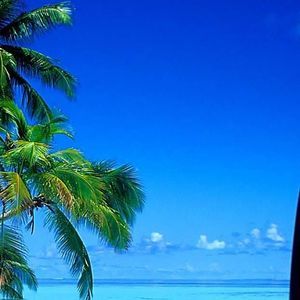 Meet your Posher, Patsy